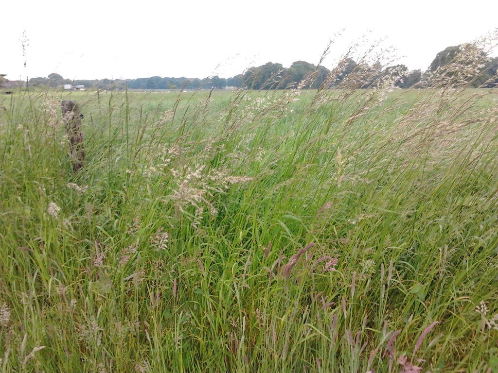 B&B In De Backerije Zuidwolde  ภายนอก รูปภาพ