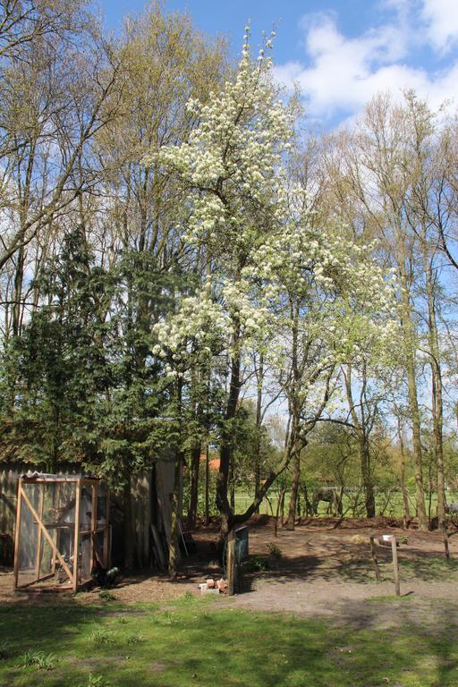 B&B In De Backerije Zuidwolde  ภายนอก รูปภาพ